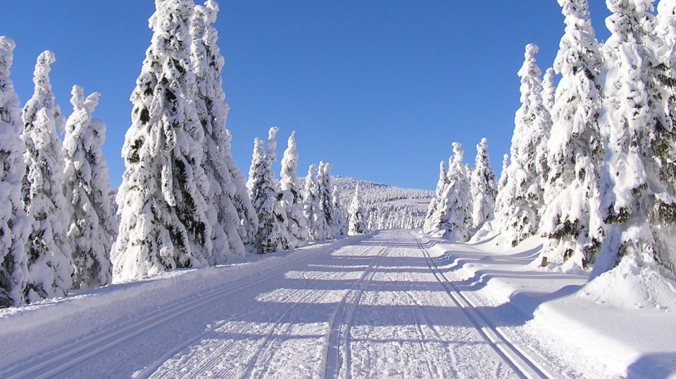 Krkonoše